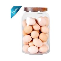 SAIOOL Egg Jar – CAD